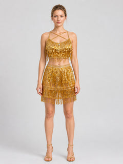 Stage Costume: Sequin and Fringe Top and Skirt