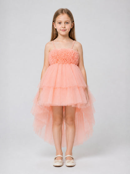 European Tutu Dress with Train for Performances on-model view