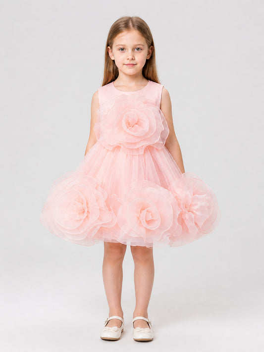 Tutu Dress with 3D Roses for Christening on-model view