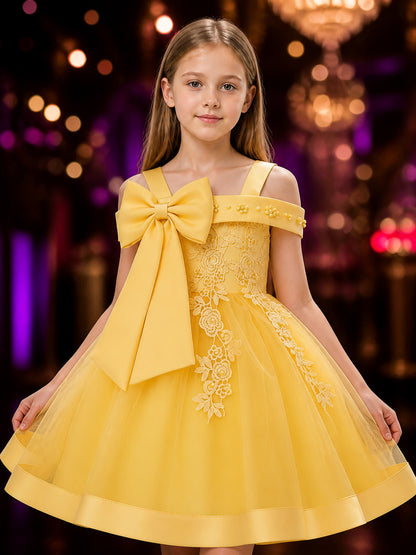 Girls' Princess Flower Girl Dress With Beaded Flowers, Lace Applique And Layered on-model view