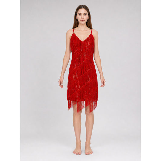 1920s-Style Fringe Dress Costume Set