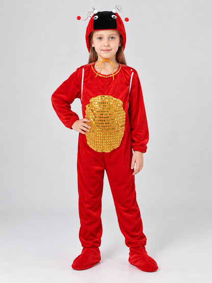 Kids' Ladybug Costume