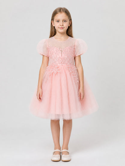 Festive Princess Dress with a Full Skirt and Embroidery on-model view
