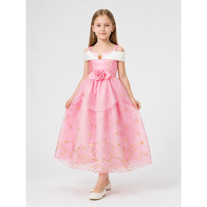Princess Costume in Pink and Gold Tones