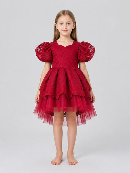 Festive Princess Dress with Lace and Full Skirt on-model view