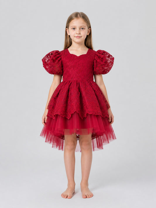 Festive Princess Dress with Lace and Full Skirt on-model view