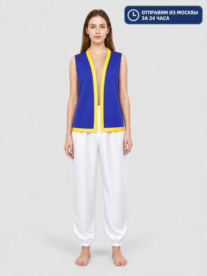 Cosplay Costume: Vest, Pants, and Mushroom Hat