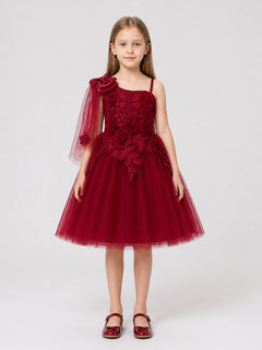 Full-Skirt Dress with Lace Bodice and Roses, Burgundy