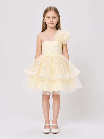Girls' Formal Dress with Lace Embroidery and Train on-model view