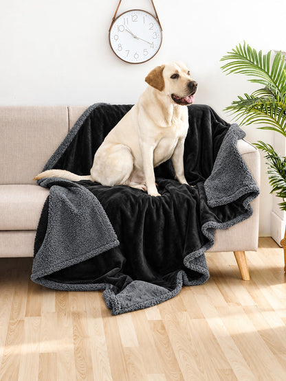 Reversible pet blanket, black flannel side up with gray sherpa edge, draped over a sofa with a Labrador sitting on it