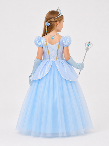 Children’s Halloween costume with a full skirt dress and crown back view