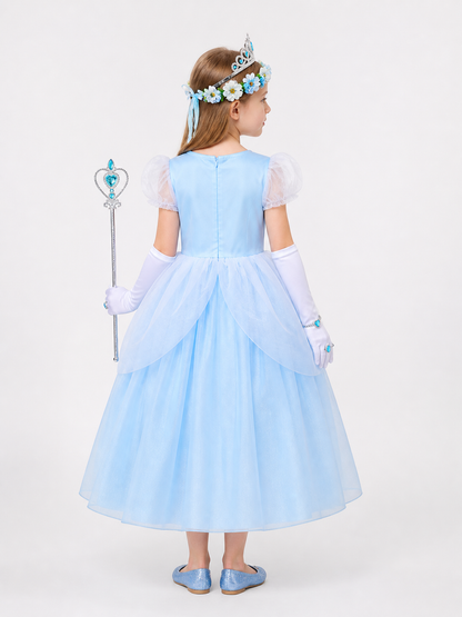 Blue Cinderella Costume for Halloween and Cosplay back view