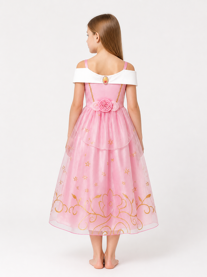 Princess Costume in Pink and Gold Tones