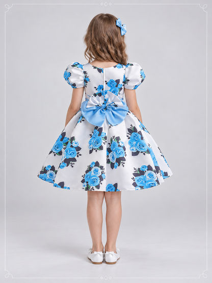 Girls' White Dressy Dress with Blue Roses and a Bow