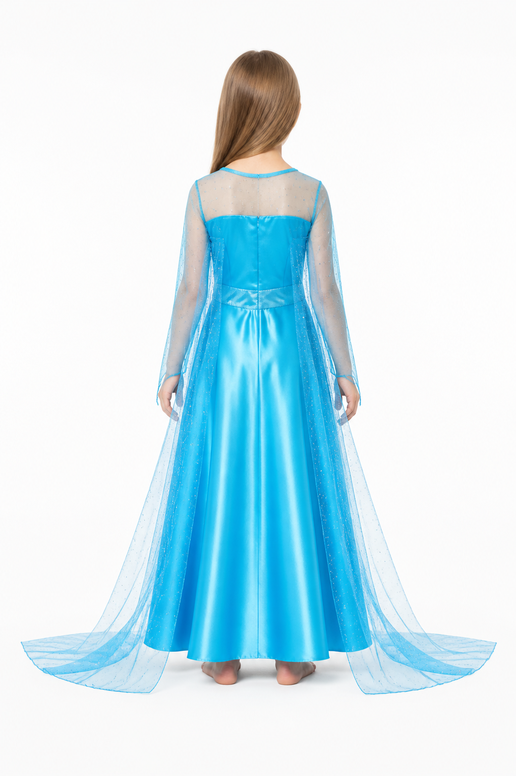 Blue Ball Gown with Butterfly and Train back view