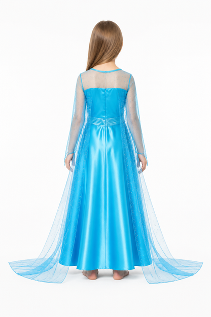 Blue Ball Gown with Butterfly and Train back view