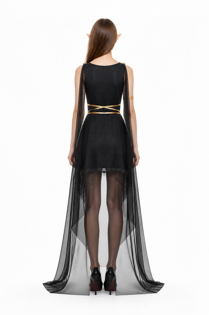 Black Dress with Cape Halloween Costume back view