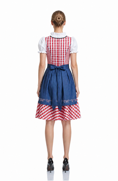 Bavarian Dirndl Dress with Apron and Corset back view