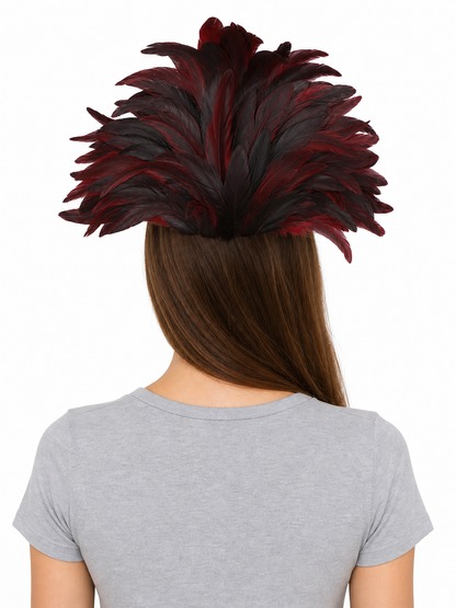 Carnival headpiece with feathers and mask