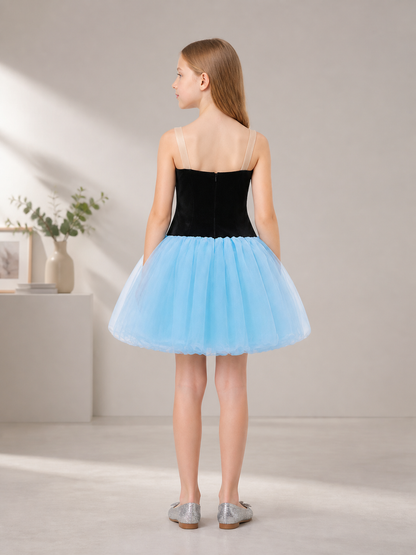 Black and Blue Dress with a Bustier Bodice and Full Skirt