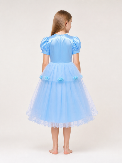 Light blue dress with a full skirt and puff sleeves back view