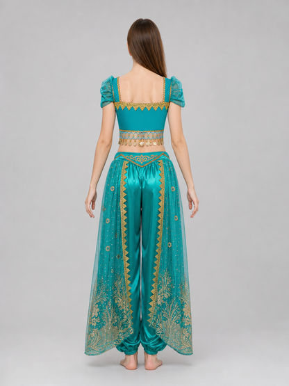 Belly Dance Costume with Veil and Accessories
