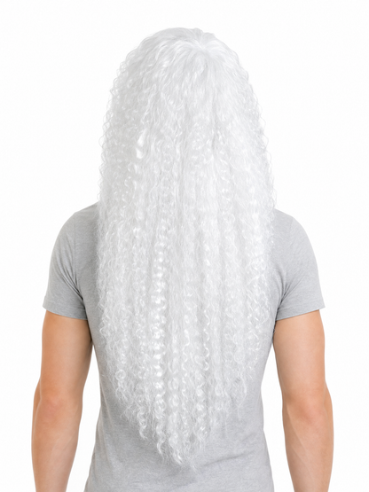 White Santa Claus Wig and Beard Holiday Set