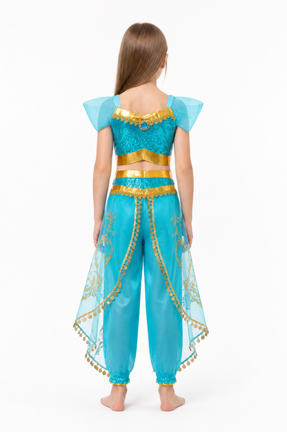 Sparkly Princess Costume with Sequins and Tulle back view