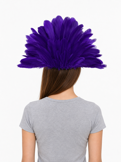 Carnival Headdress with Feathers and Mask