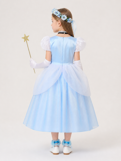 Princess Costume for Halloween and Cosplay back view