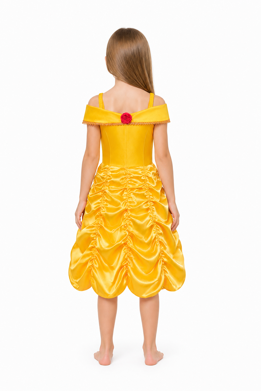 Princess Dress with a Full Skirt for Halloween back view