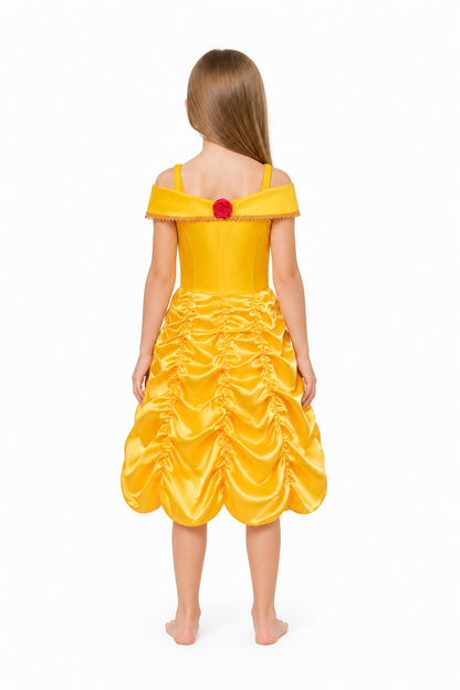 Princess Dress with a Full Skirt for Halloween back view