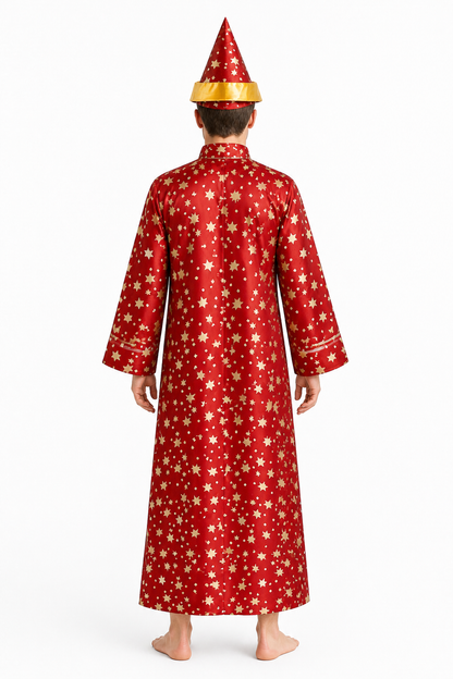 Wizard Costume with Robe and Star-Patterned Hat back view