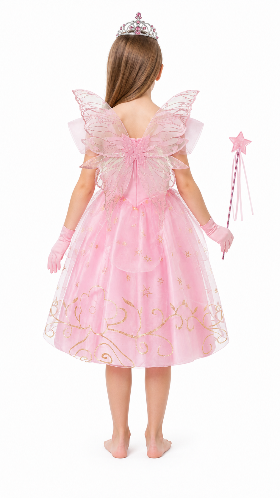 Princess Costume with Wings and Crown back view