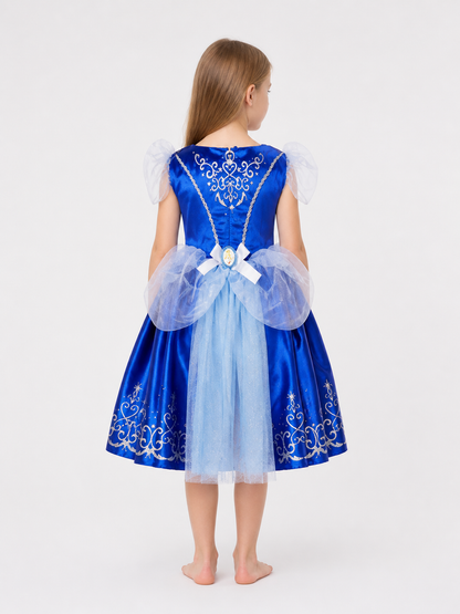 Blue Princess Costume with Silver Pattern back view