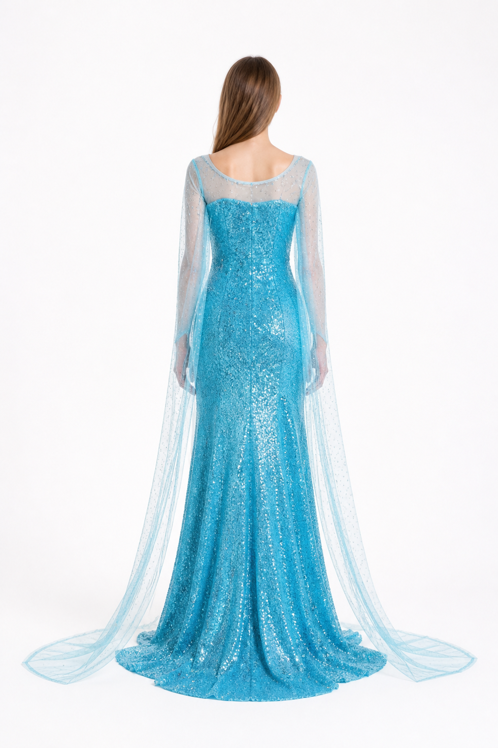 Blue Elsa Dress with Sequins and a Long Train back view
