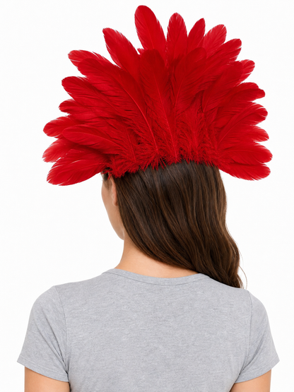 Carnival Headpiece with Red Feathers