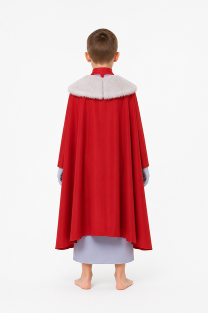 Cosplay Costume with Cape, High Collar, and Skirt back view