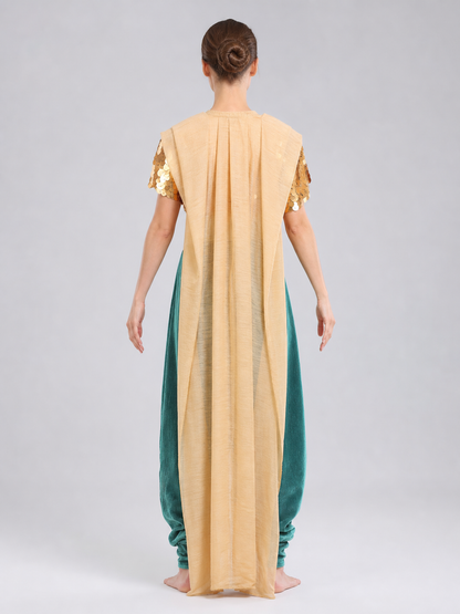 Ancient Greek-Style Cosplay Costume back view