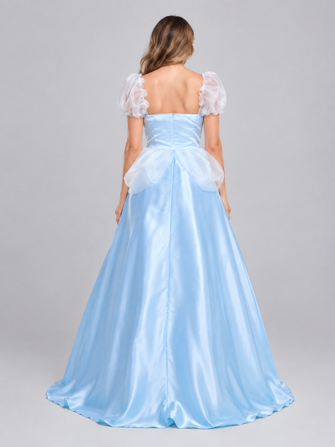 Costume Dress with Train and Blue Brooch back view