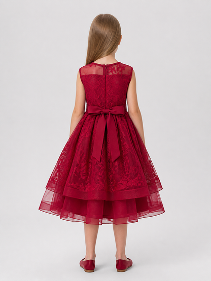 Dressy Dress with Lace, Bow, and Full Skirt back view