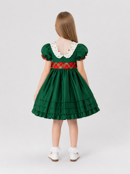 Costume Dress with a Full Skirt for Performances back view