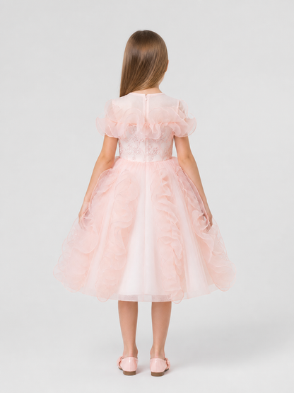 Dressy Princess Dress with Full Skirt and Flowers back view
