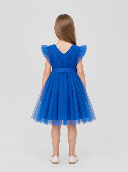 Full Blue Princess Dress with a Mesh Skirt and Ruffles back view
