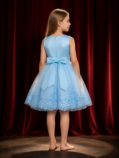 Girls' Princess Dress, Sleeveless Tulle Dress With Lace Trim, Sky Blue back view