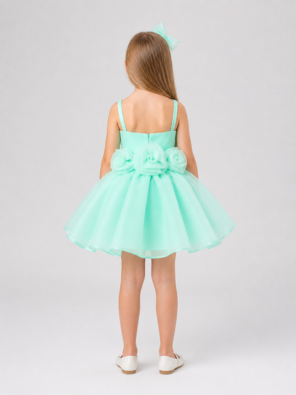 Short, Elegant Mint Dress with Roses and a Full Skirt back view