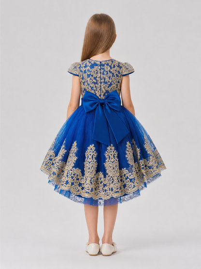 Girls' Full Princess Dress with Embroidery and Train back view