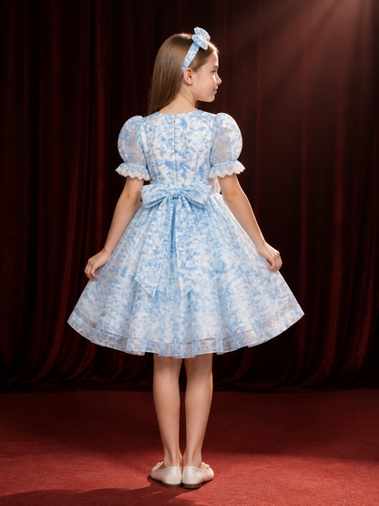 Girls' Light Blue Floral Princess Dress with Lace Trim and Bow Headband back view
