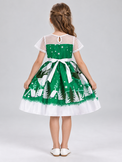 Festive Children's Dress with Winter Print back view