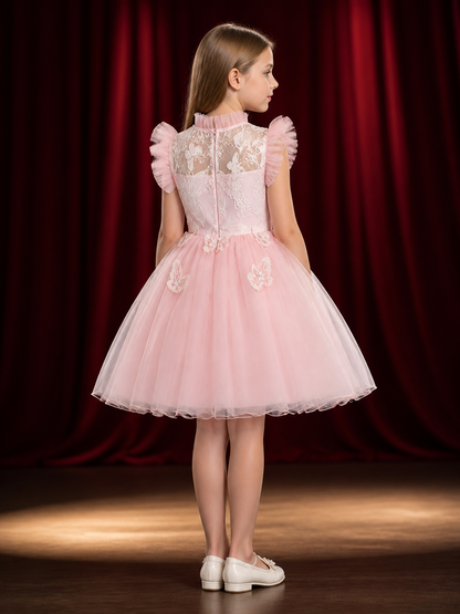 Baby Girls' Butterfly Embroidered Princess Dress, Layered Tulle Formal Gown back view